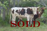 sold